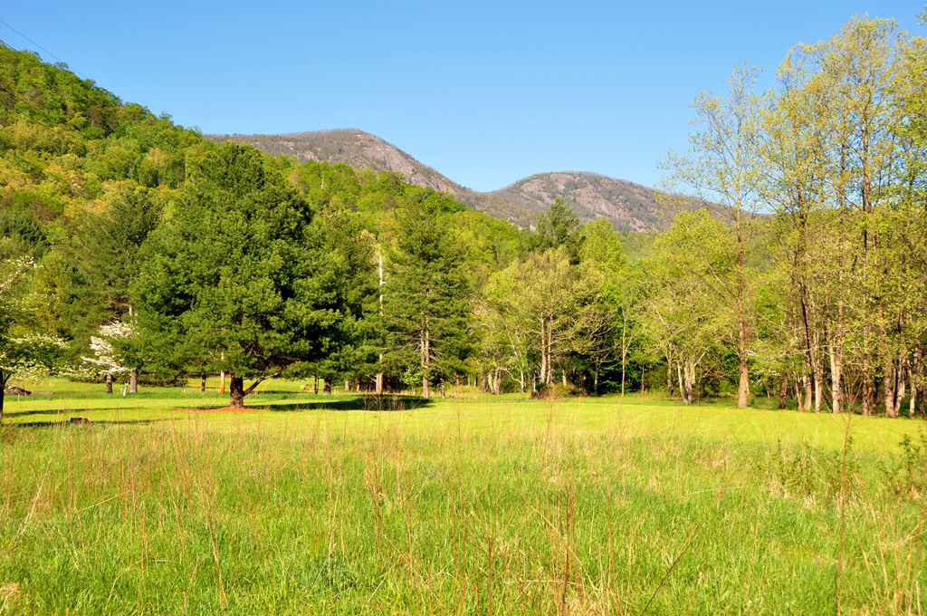 Land Conservation Mainspring Conservation Trust