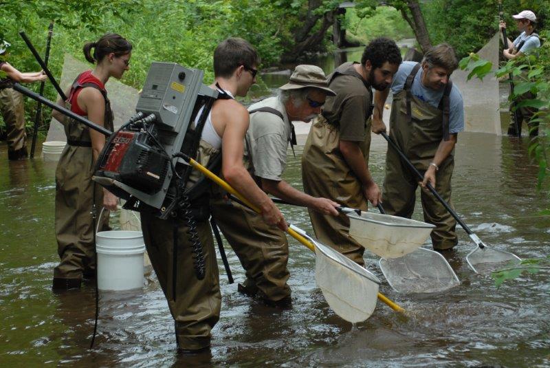 Aquatic Biomonitoring ~ Mainspring Conservation Trust