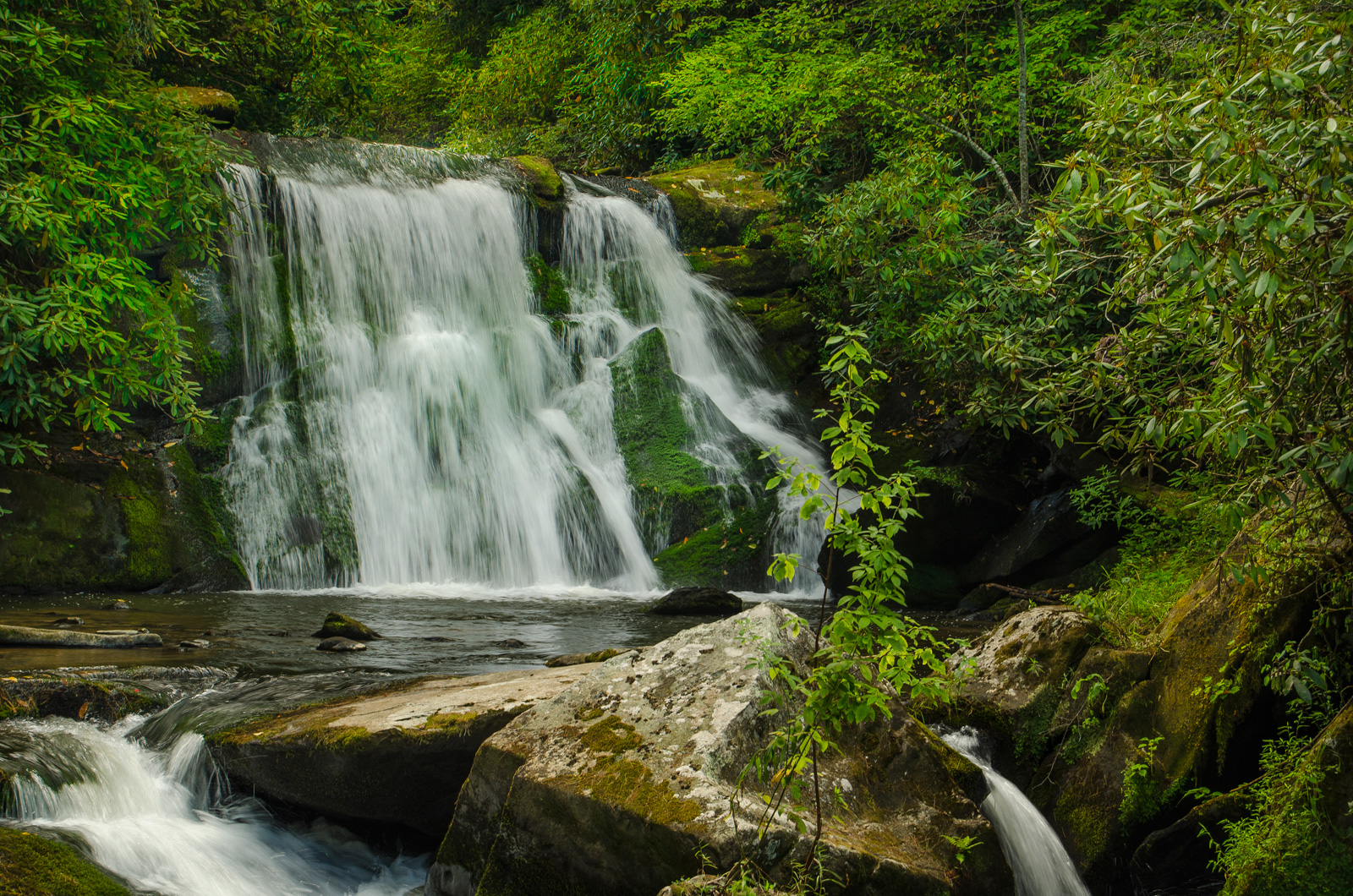 Yellow Creek