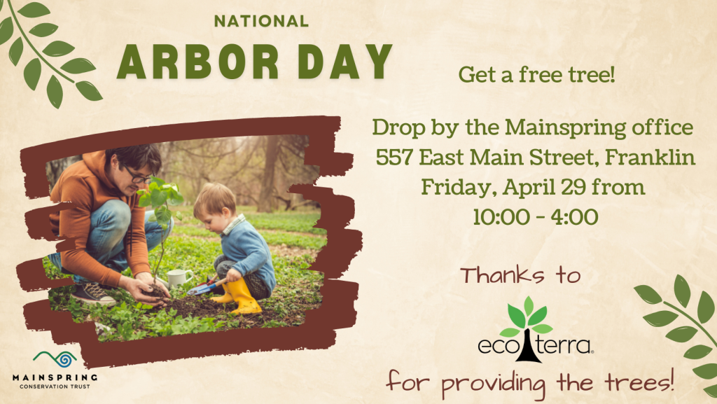 Arbor Day Tree Giveaway